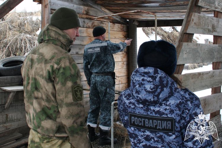В Республике Алтай росгвардейцы проверили работников ведомственной охраны