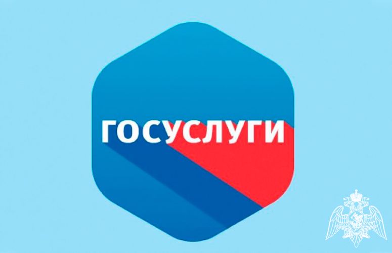 Росгвардия информирует, что списанное оружие можно зарегистрировать через портал Госуслуг