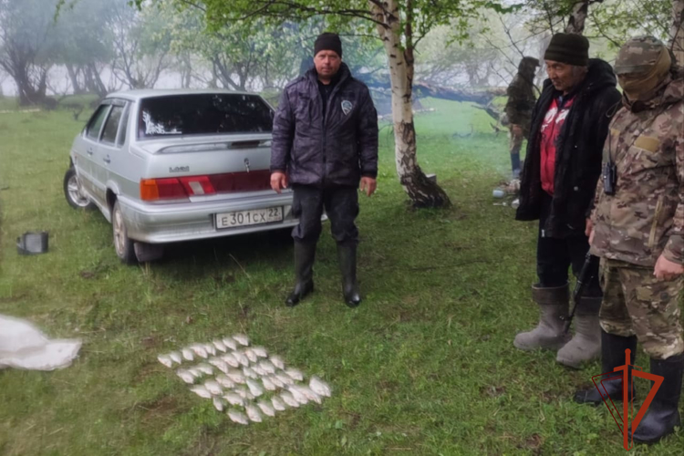 В Республике Алтай при участии сотрудников ОМОН Росгвардии задержан подозреваемый в незаконной добыче биоресурсов