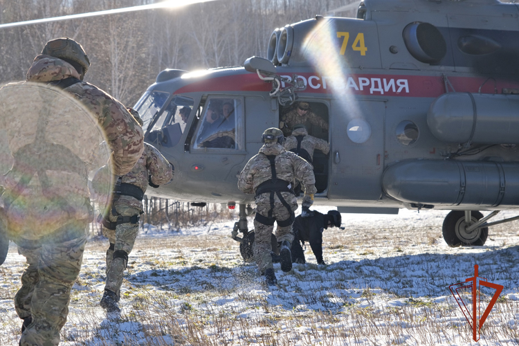 Тренировку по беспарашютному десантированию с вертолета провели спецподразделения Росгвардии в Республике Алтай