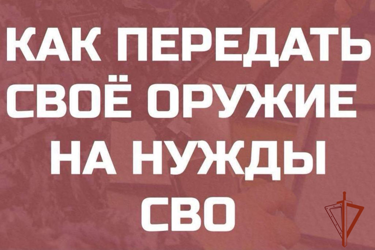 Как передать свое оружие на нужды СВО