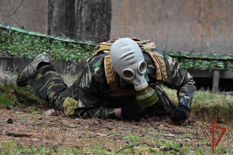 С участием Росгвардии в Республике Алтай прошла  военно-спортивная эстафета